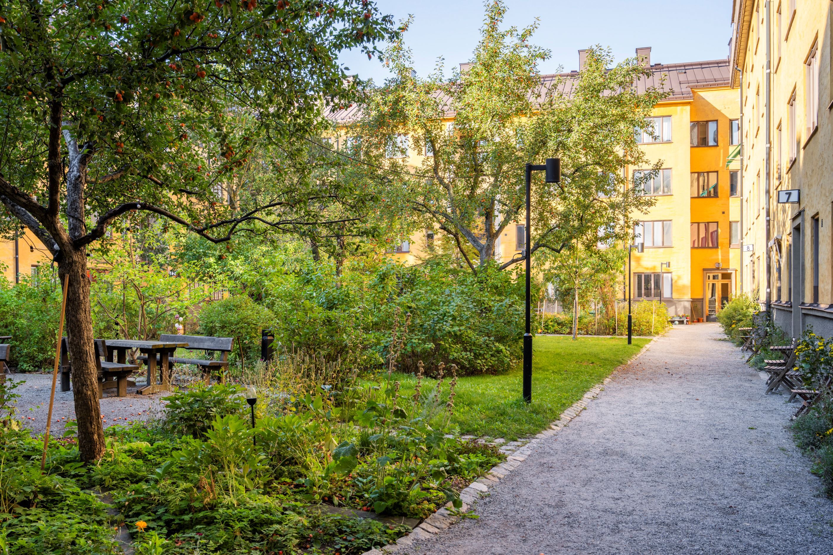Föreningens innergård