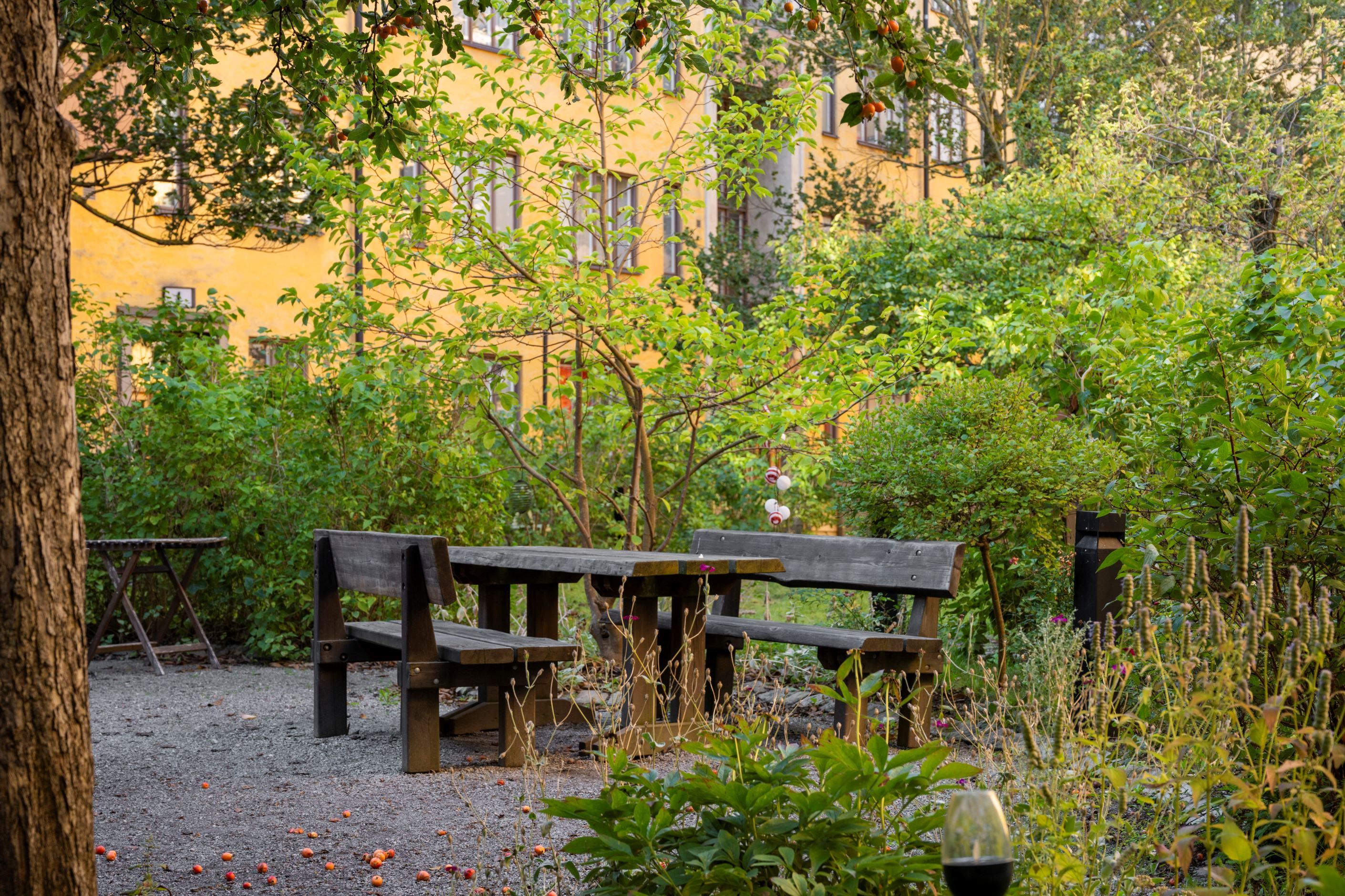 Föreningens lummiga innergård