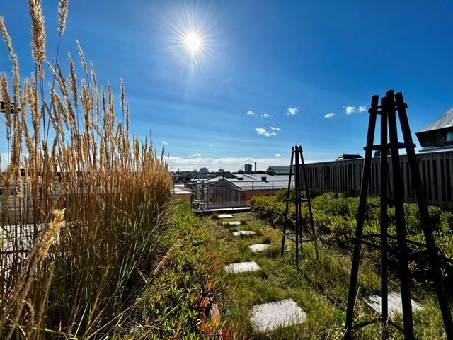 Föreningens gemensamma takterrass - säljarens egen bild