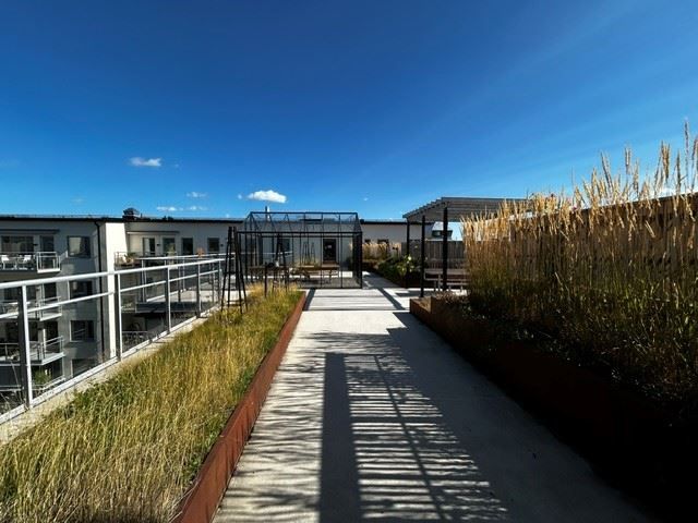 Föreningens gemensamma takterrass - säljarens egen bild