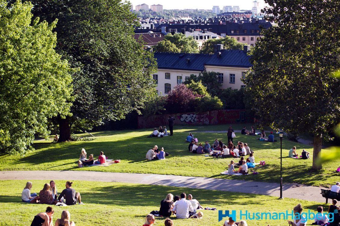 Grönskande Vitabergsparken