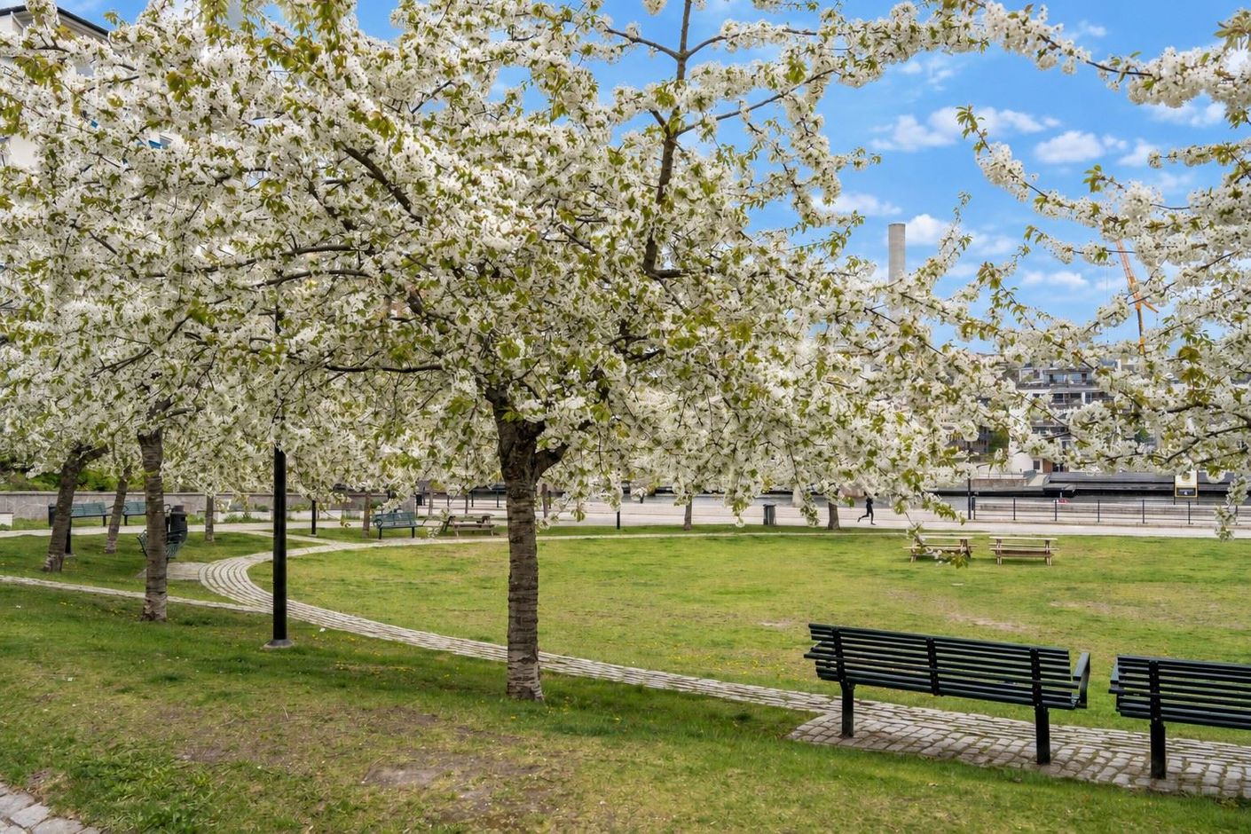 Härliga Mandelparken