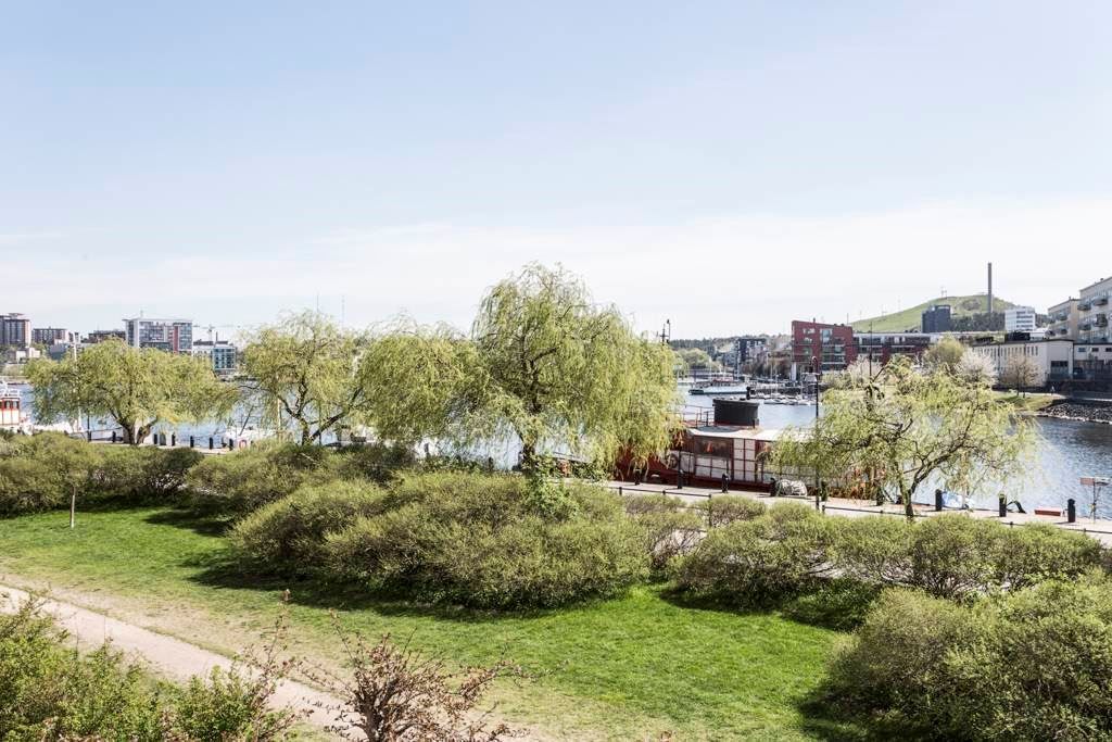 Grönska och vatten invid föreningens hus