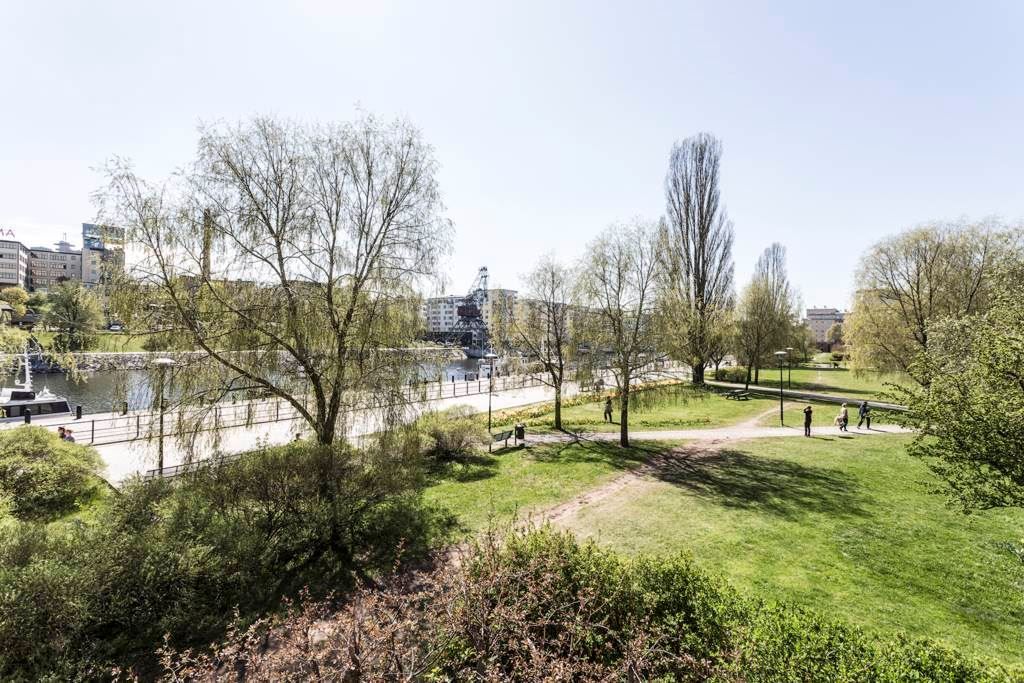 Grönska och vatten invid föreningens hus