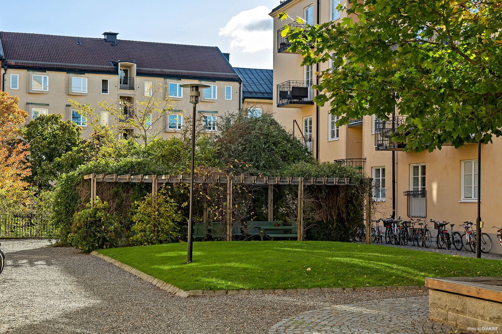 Gemensam grönskande gård