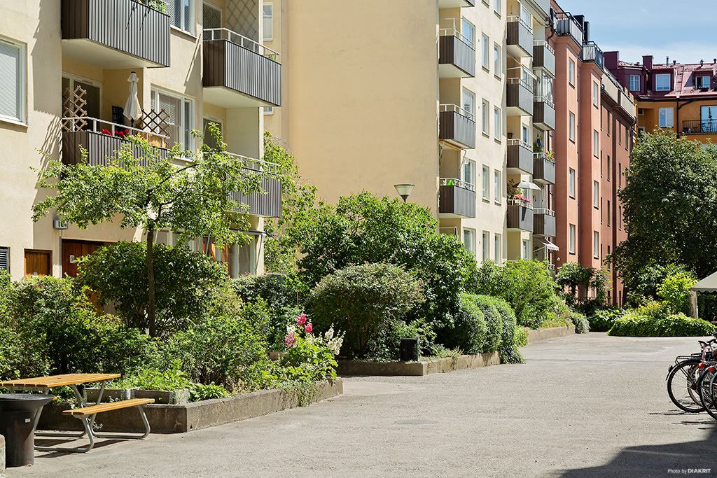 Lummig grönska runt husen
