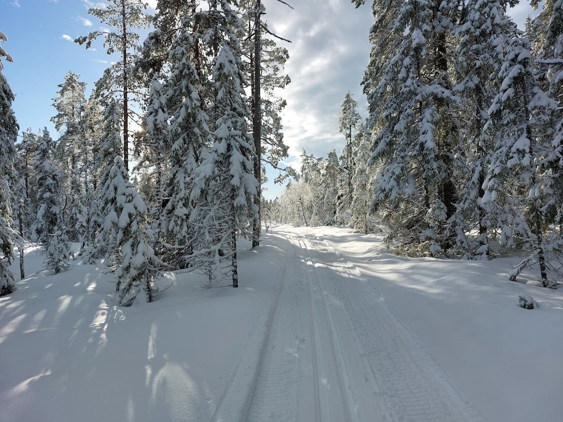 Ljungåsen (säljarens egen bild)