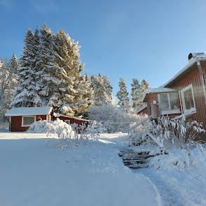 Vinter (säljarens egen bild)