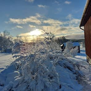 (säljarens egen bild)