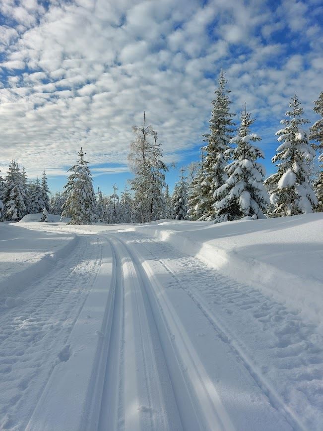 Ljungåsen (säljarens egen bild)