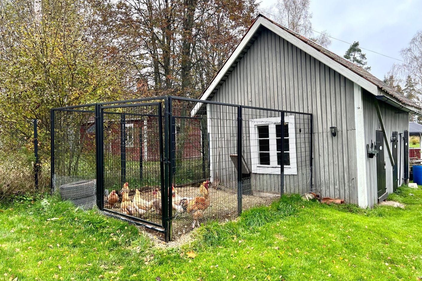 Exteriör