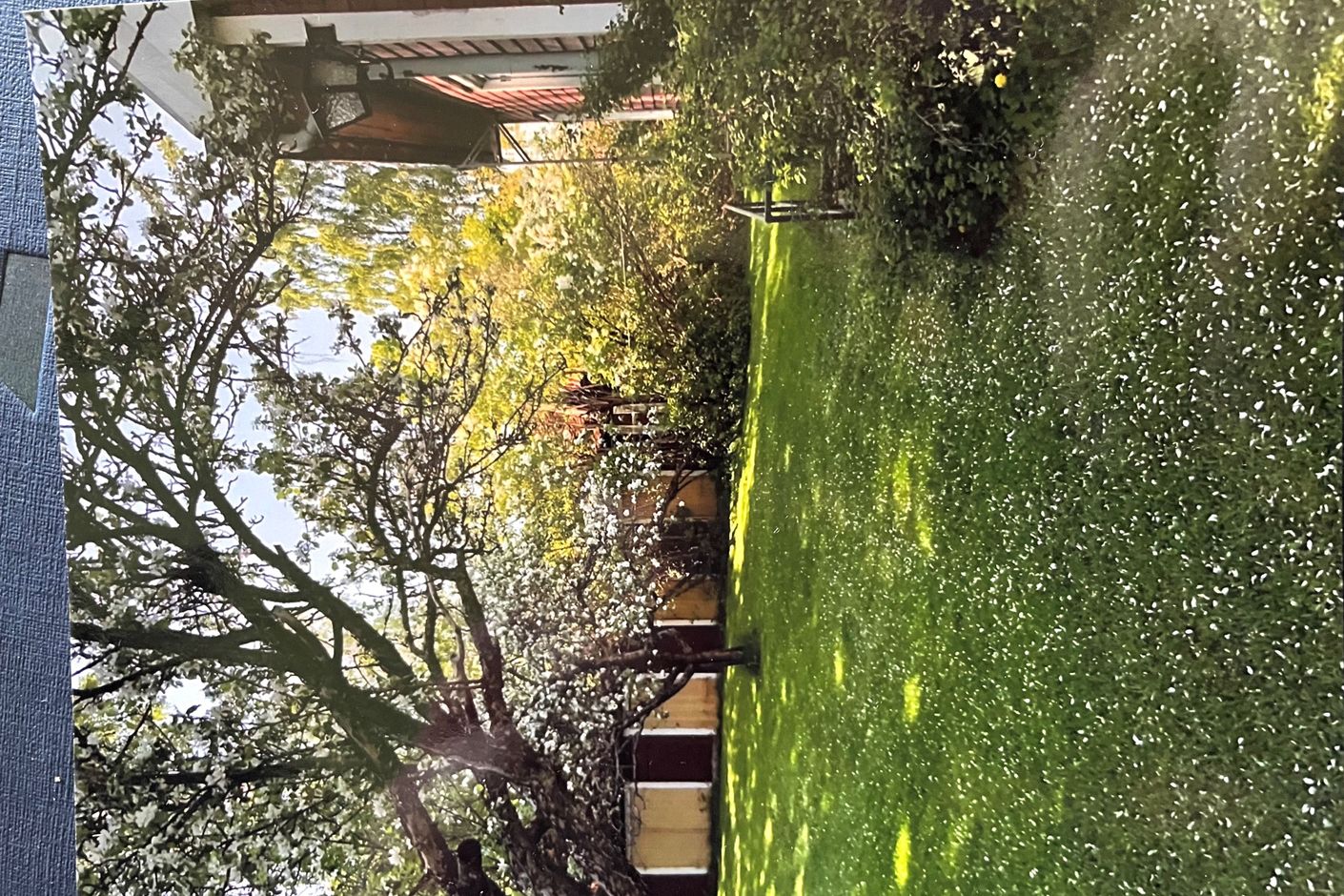 Säljarens egna bilder