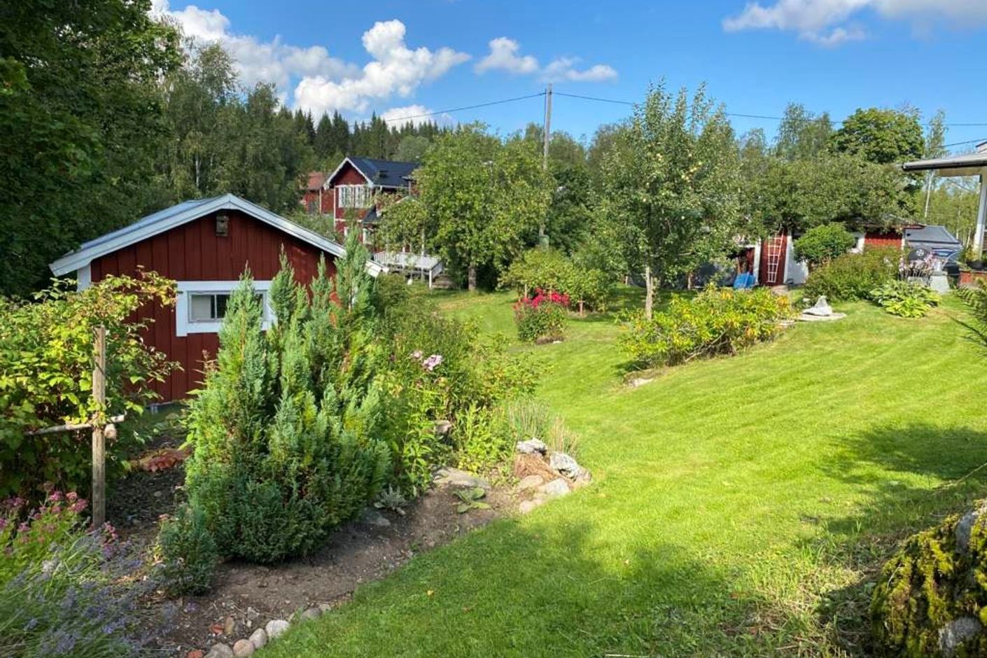 Exteriör