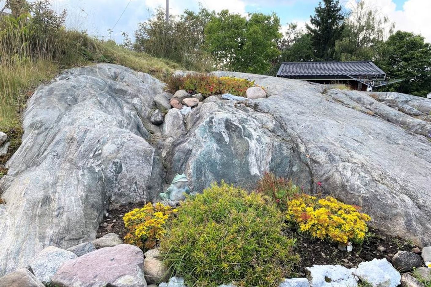 Exteriör