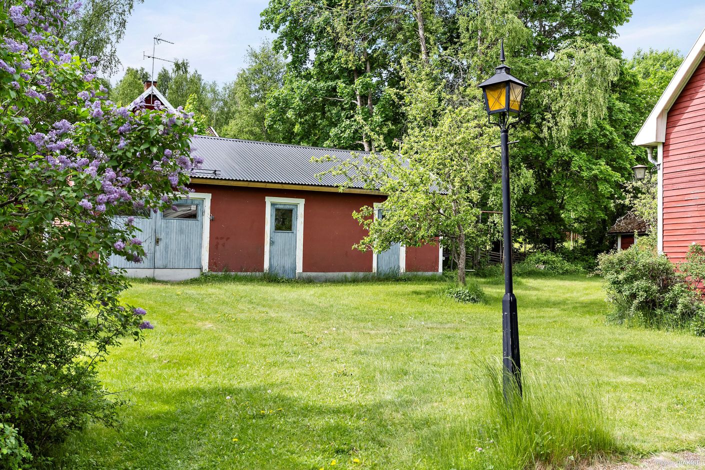 Exteriör