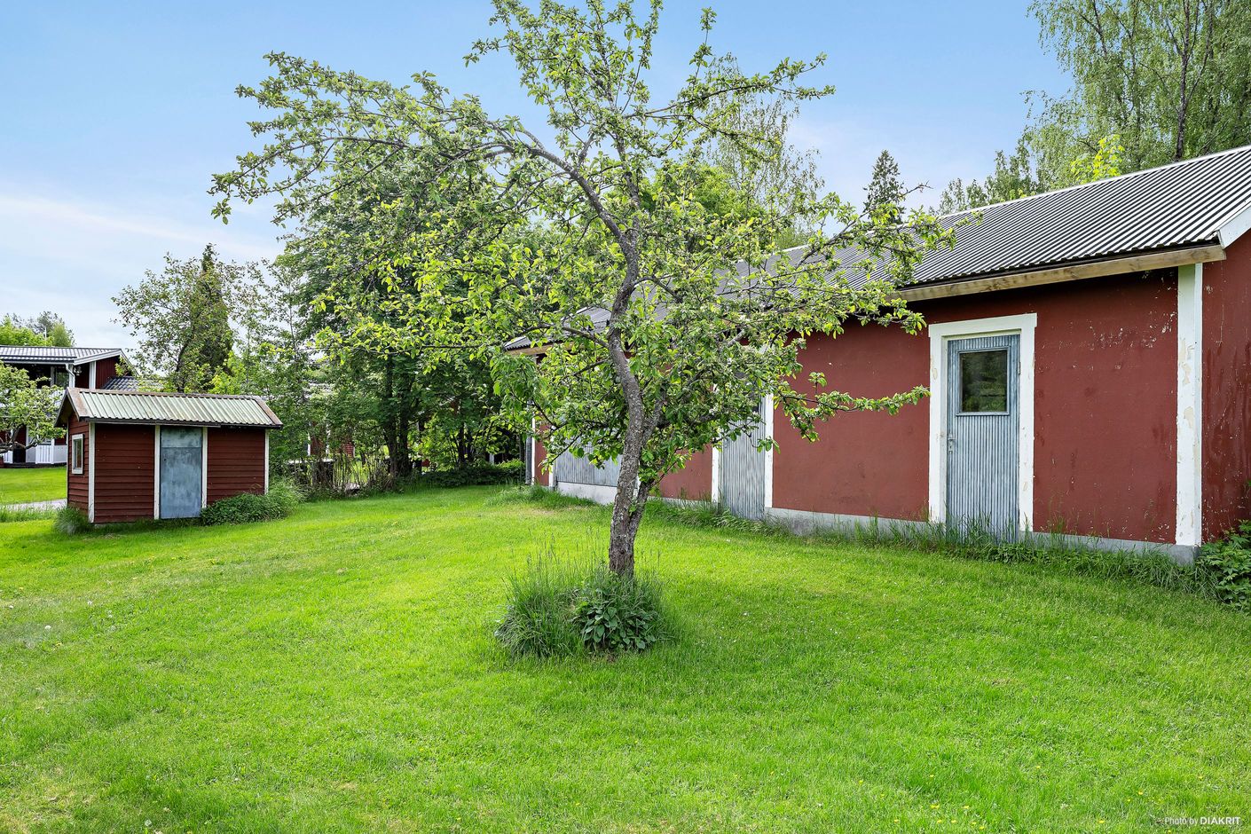 Exteriör