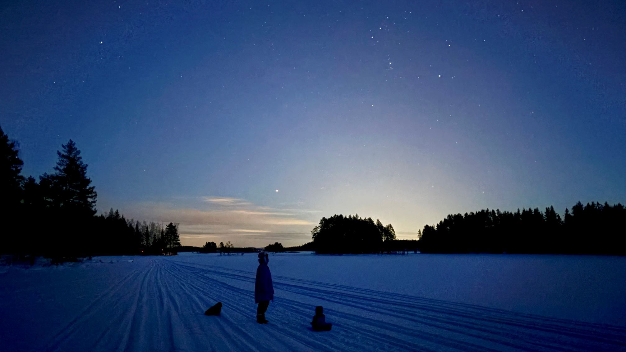 Säljarnas egna bild