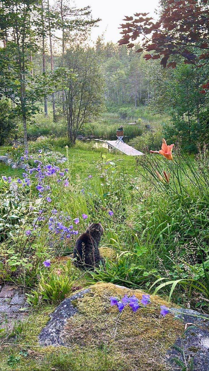 Säljarnas egna bild