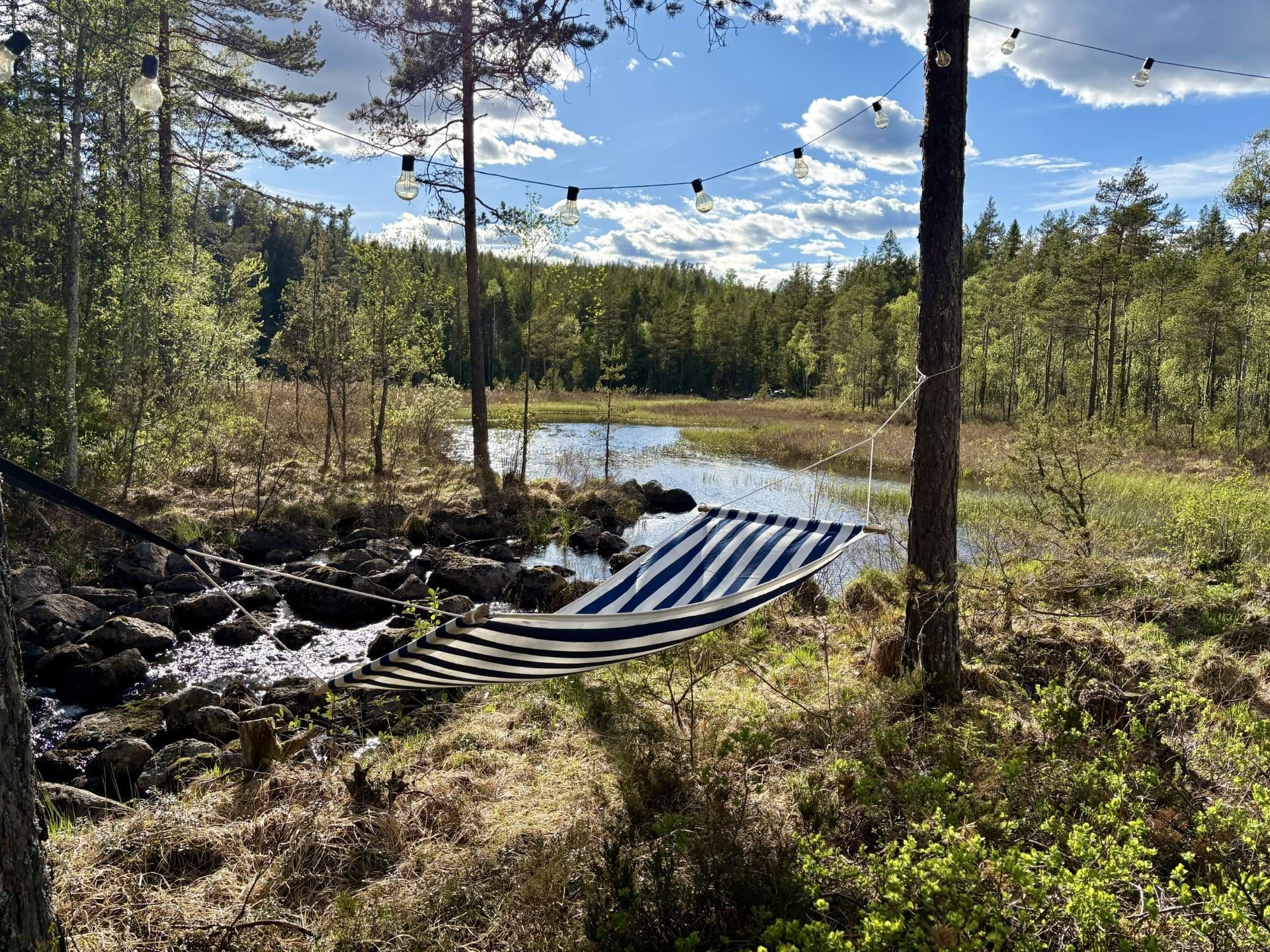 Säljarnas egna bild