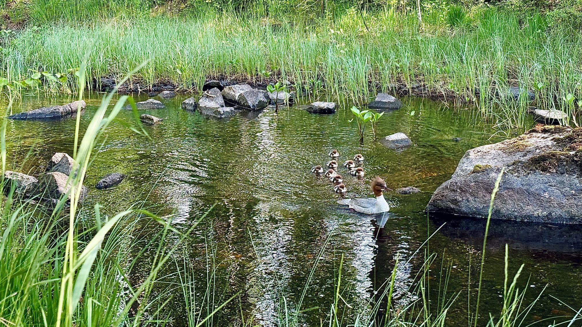 Säljarnas egna bild