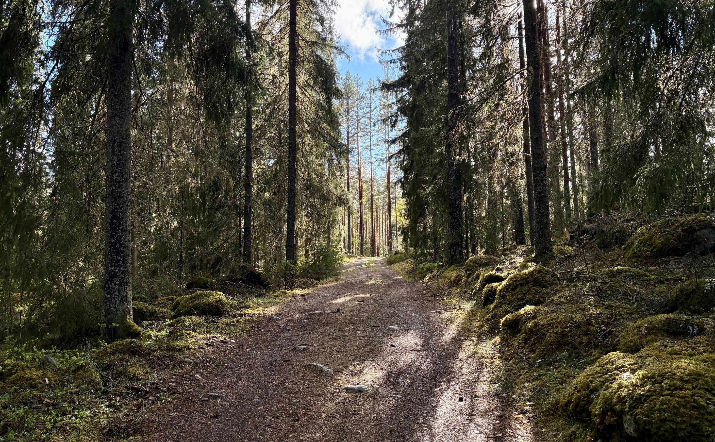 Säljarnas egna bild