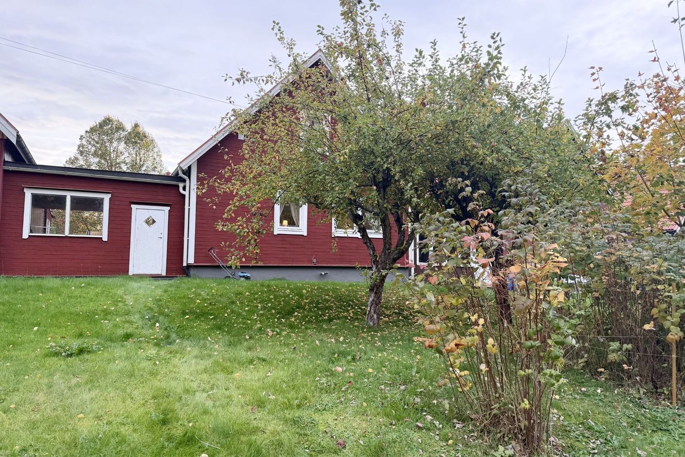 Exteriör