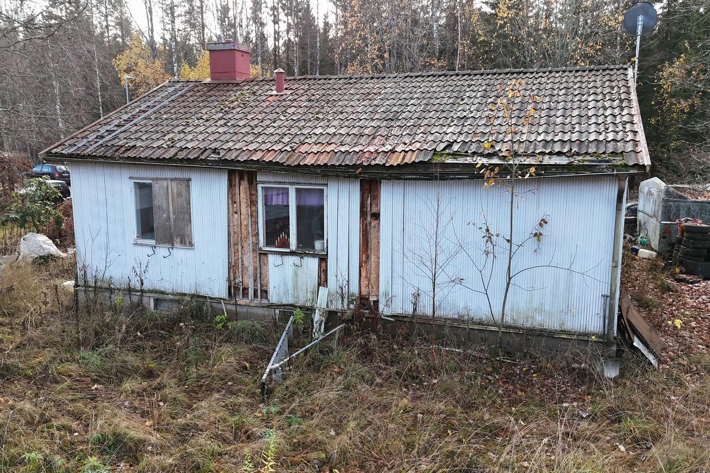 Exteriör