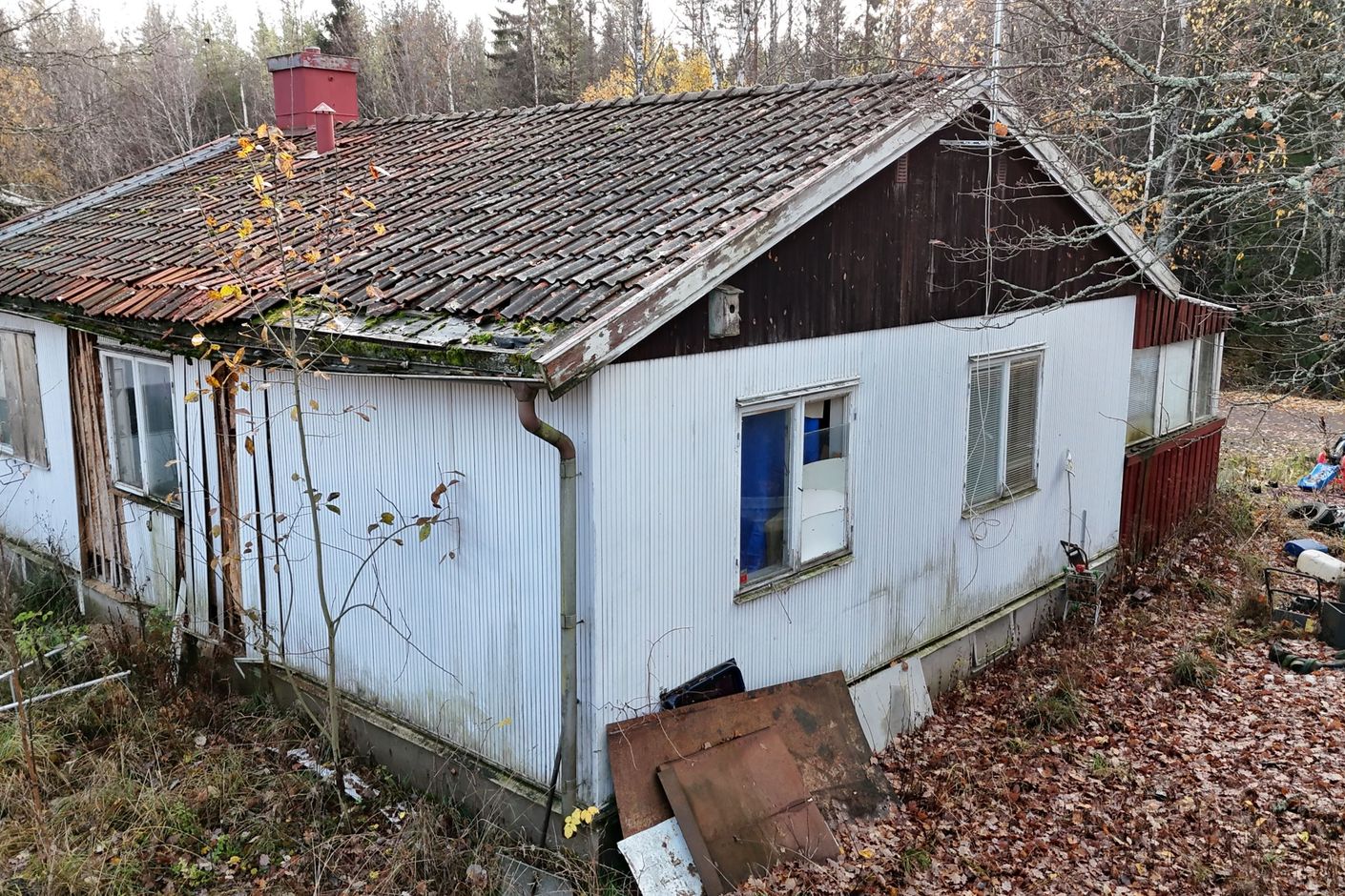 Exteriör