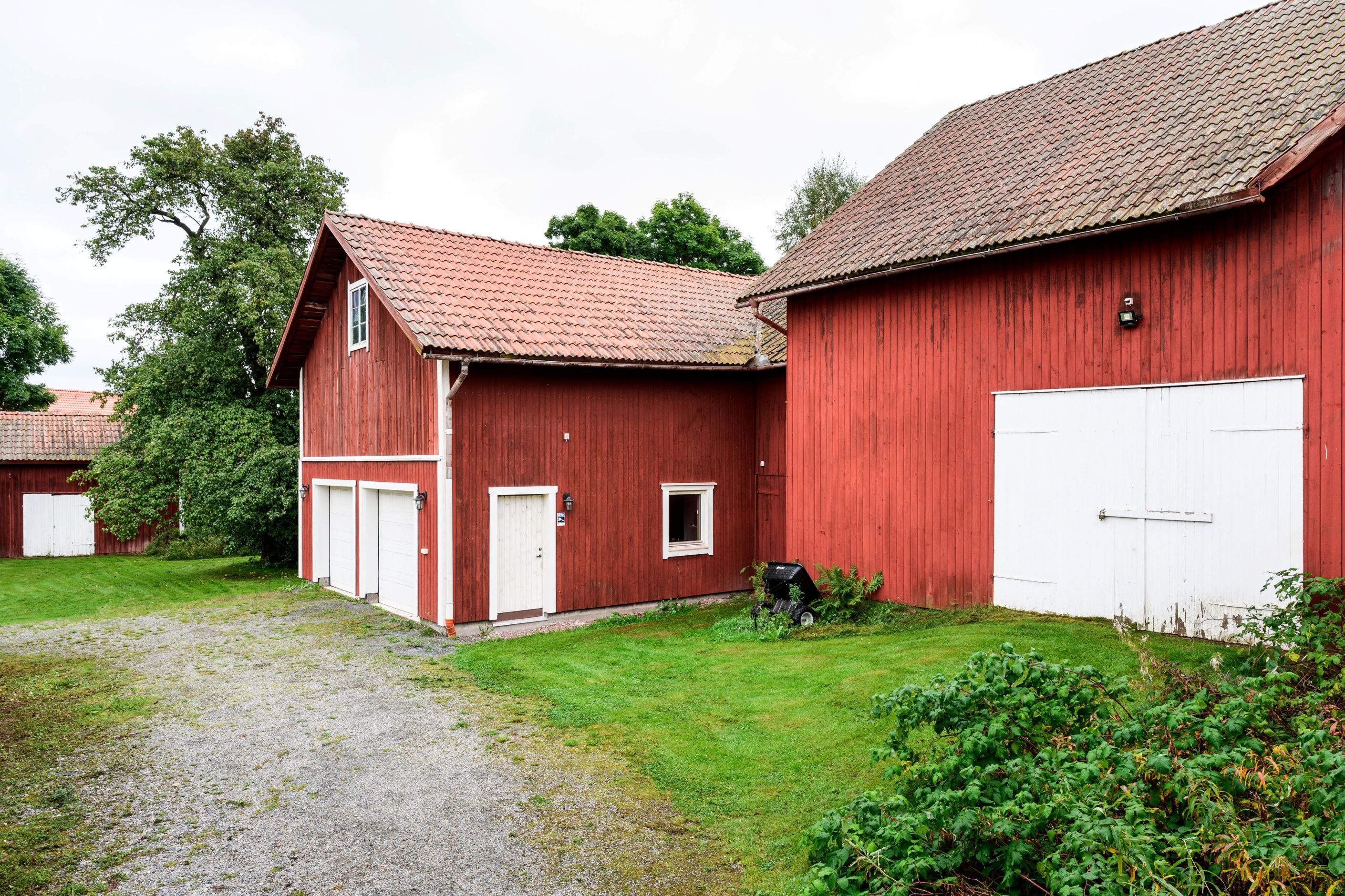 Exteriör