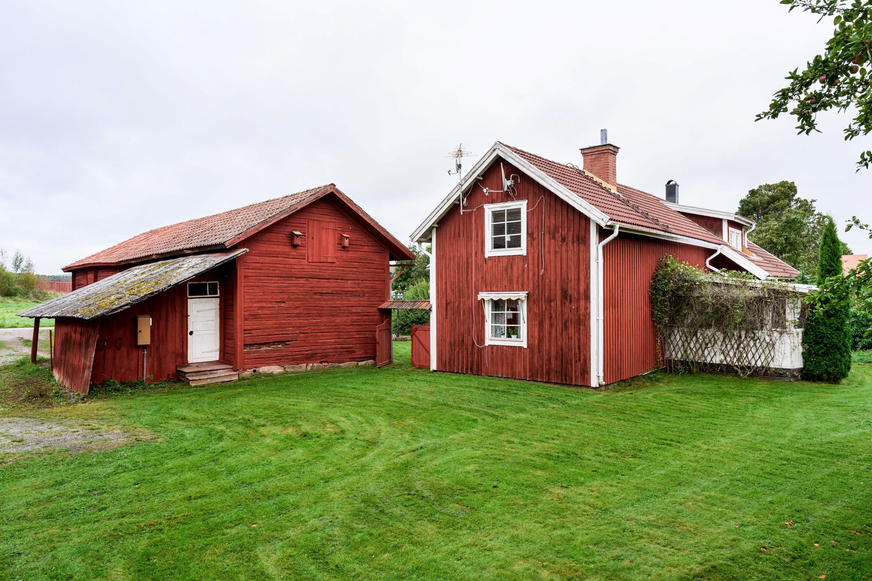 Exteriör