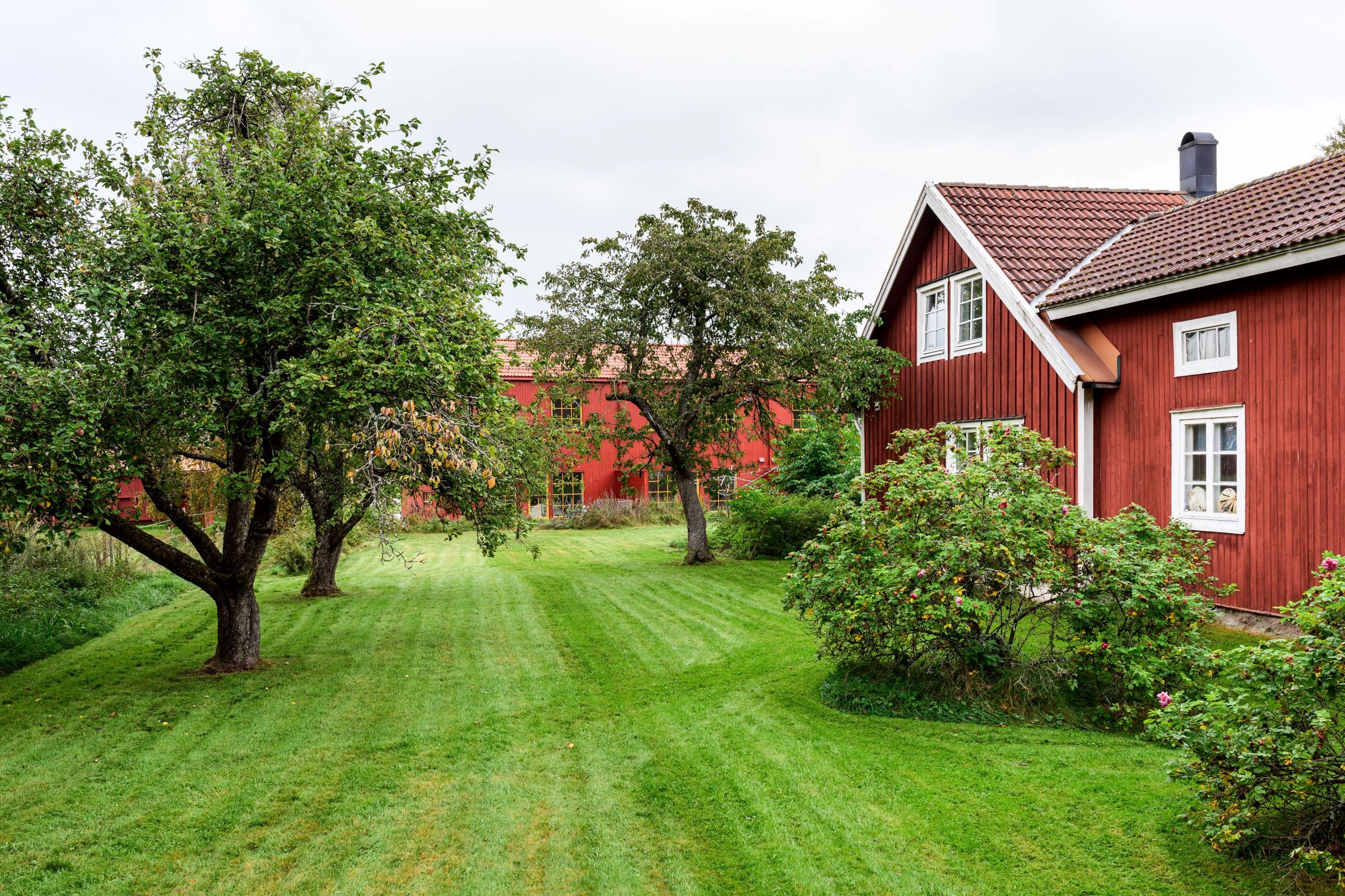 Exteriör