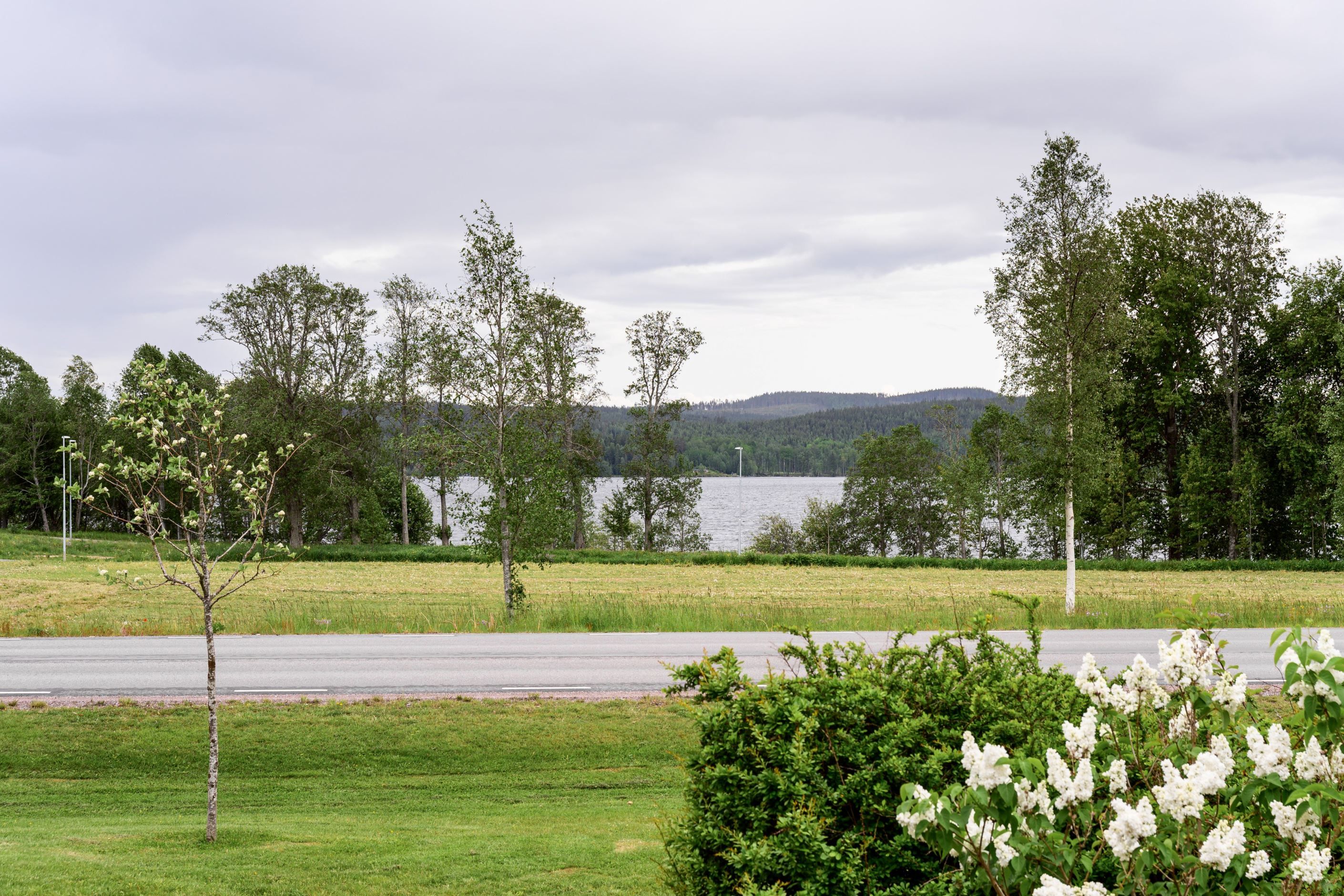 Områdesbild
