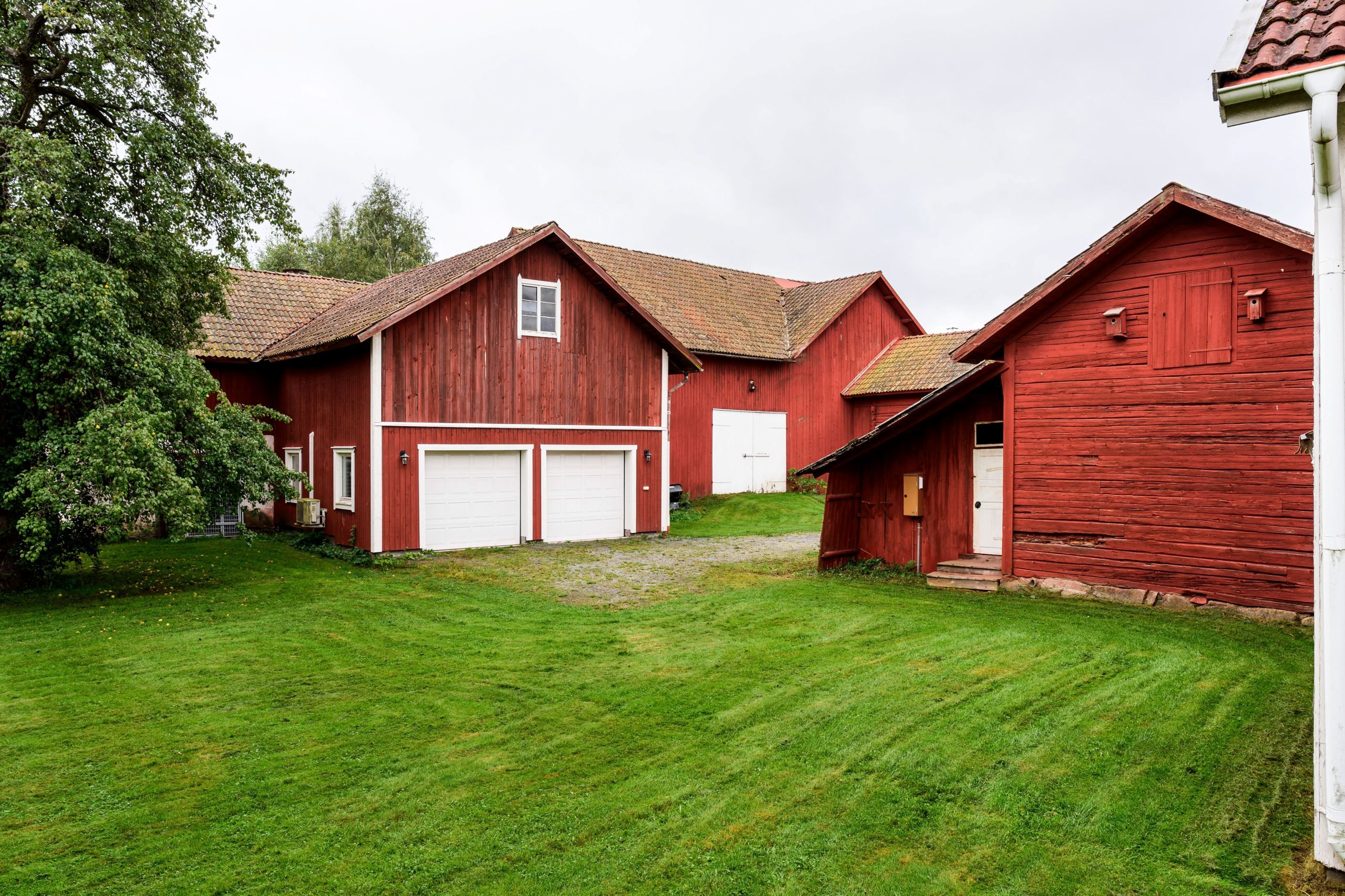 Exteriör