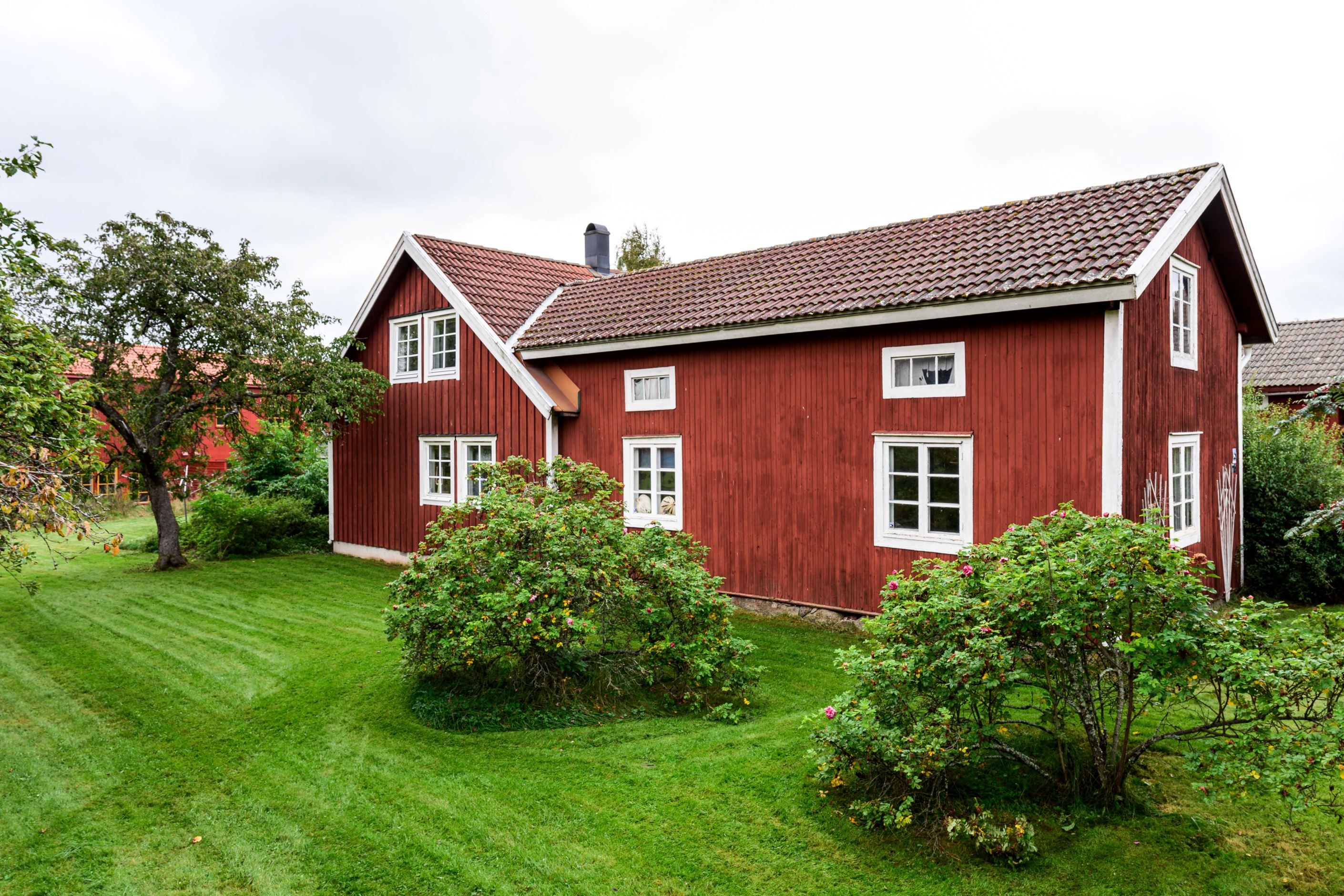 Exteriör