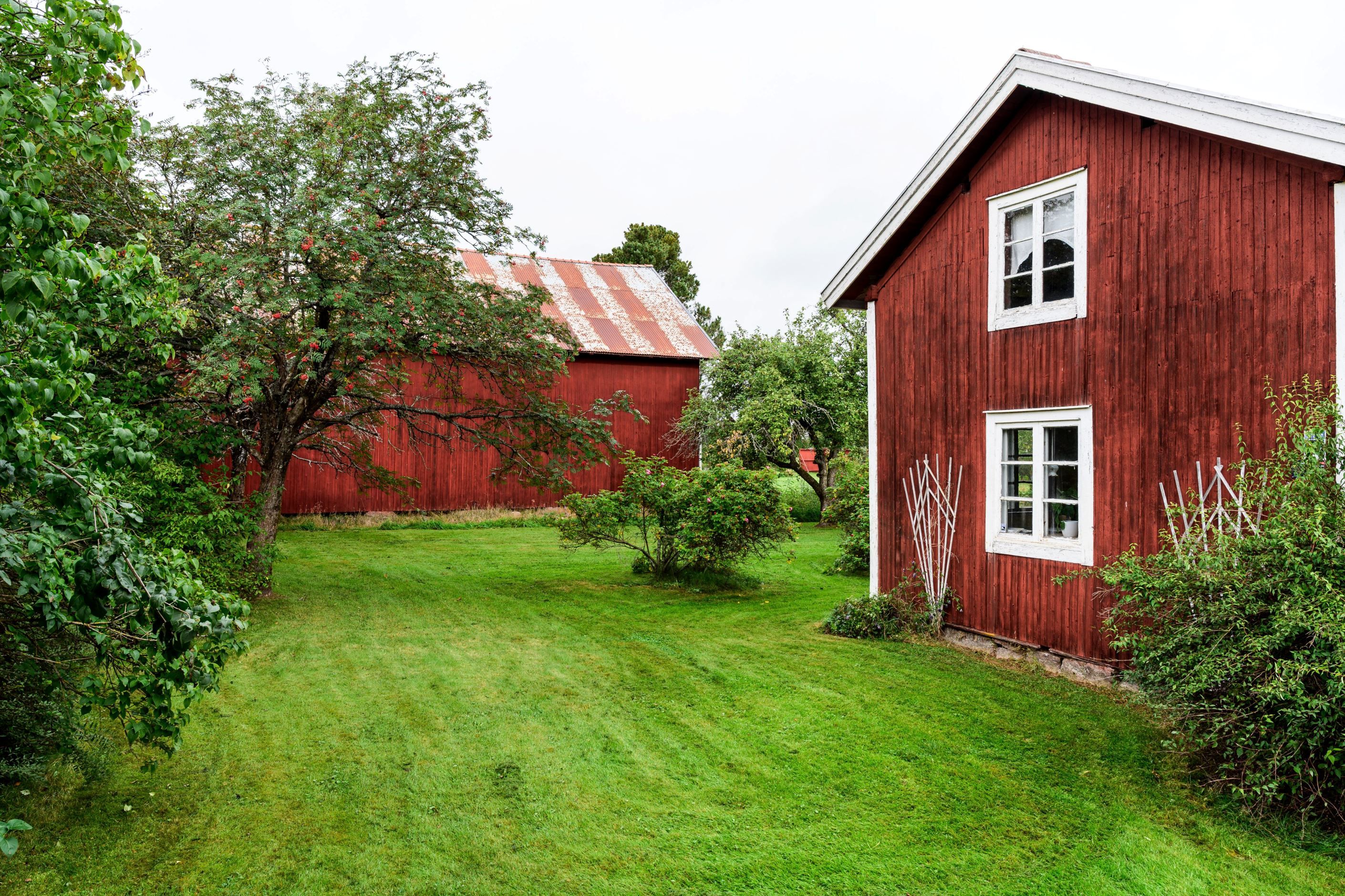 Exteriör