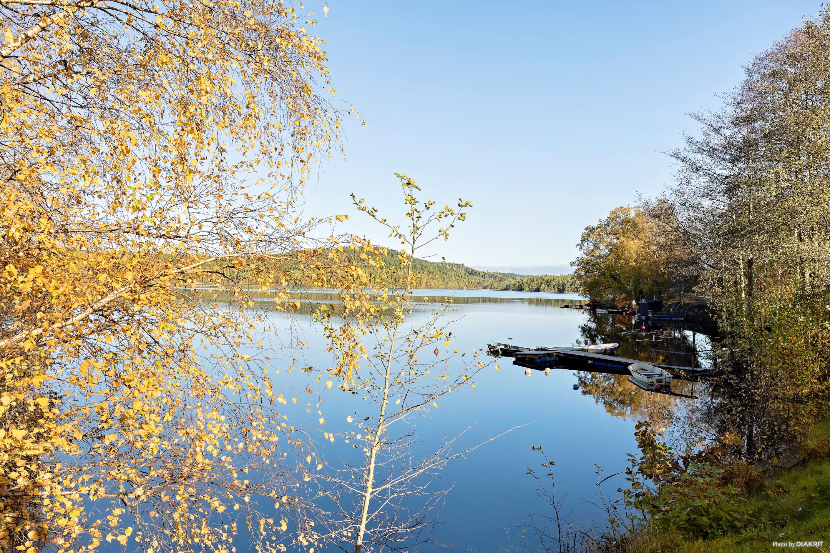 Gingsjön