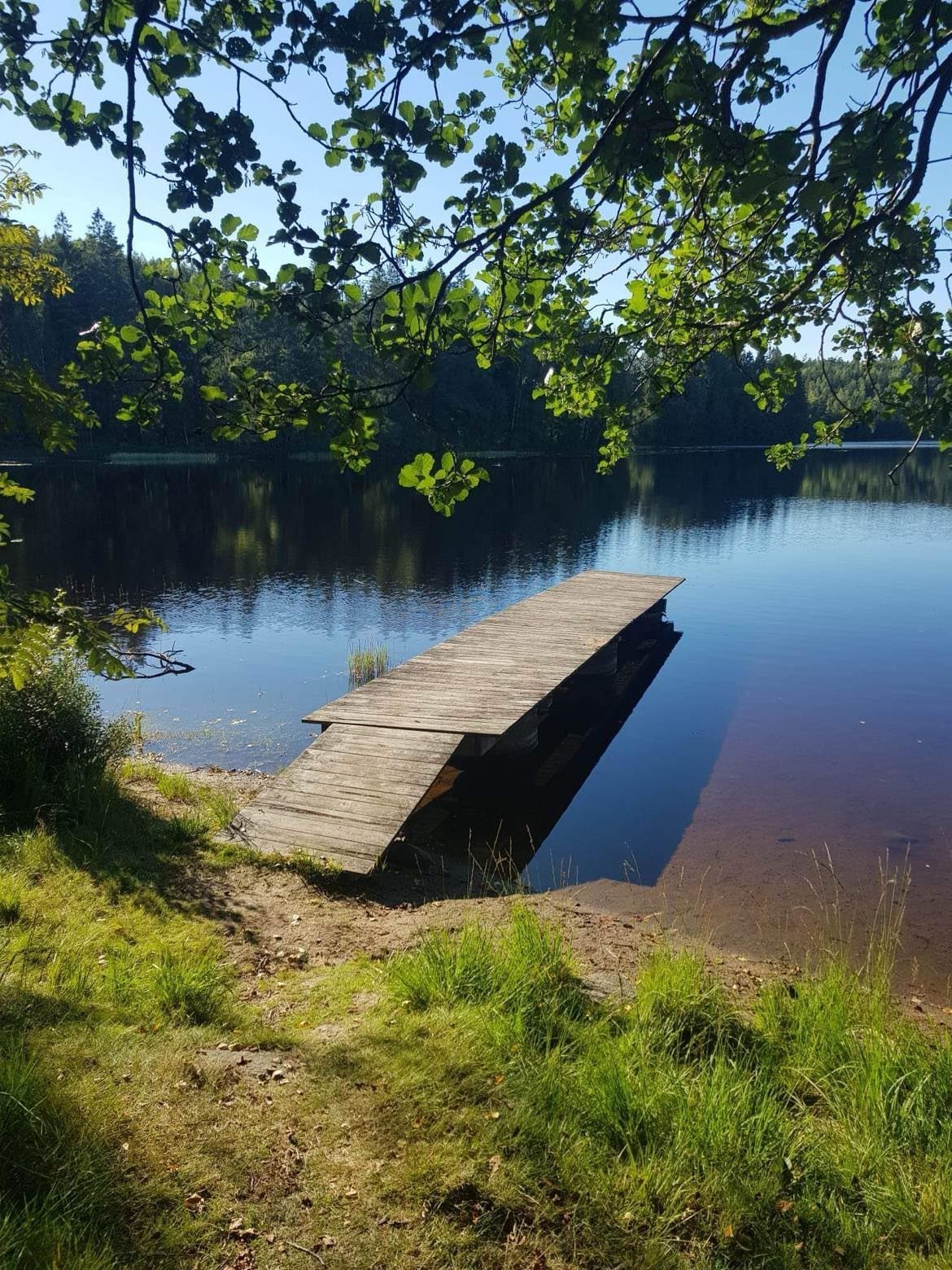Brygga vid Sandsjön