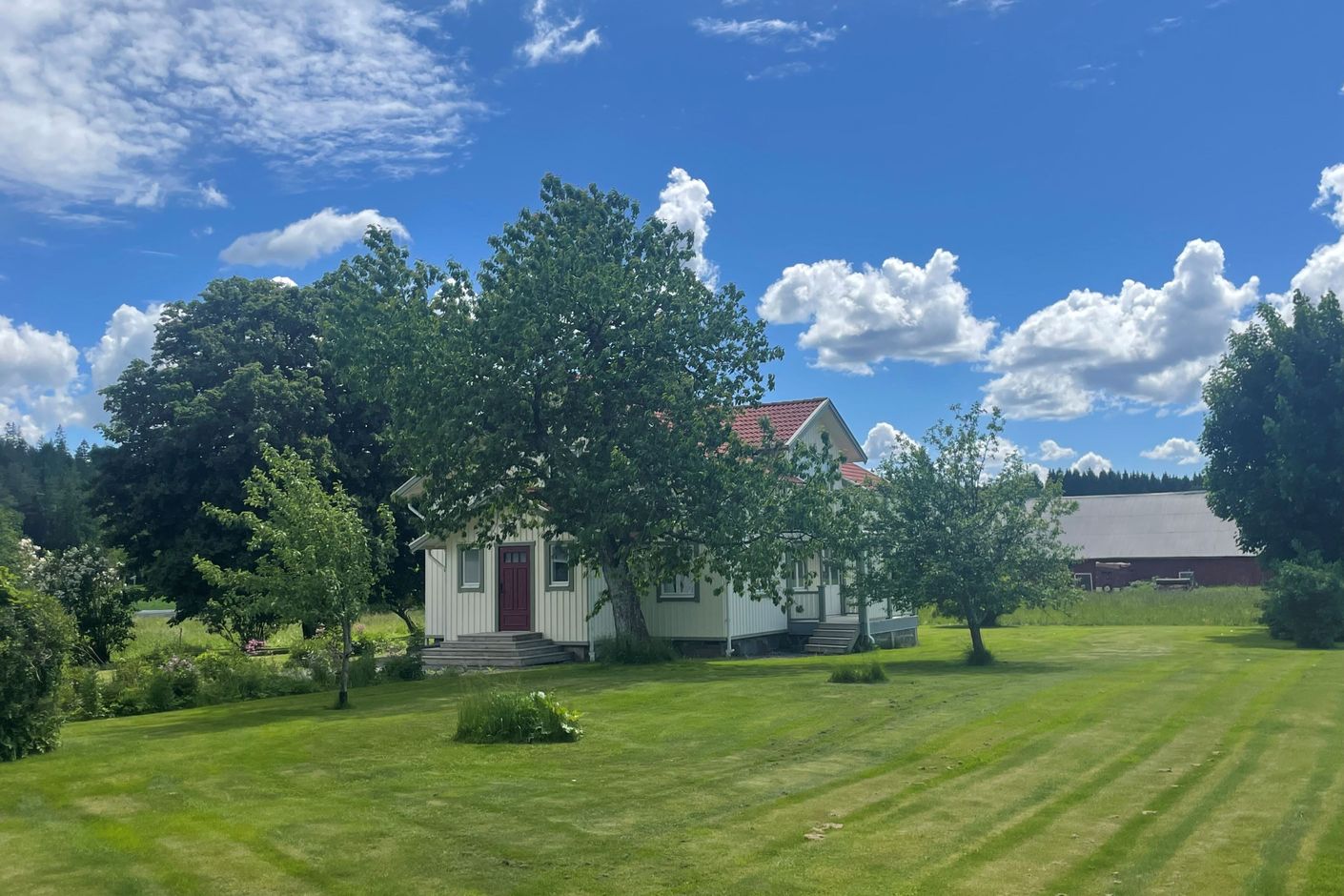 Exteriör