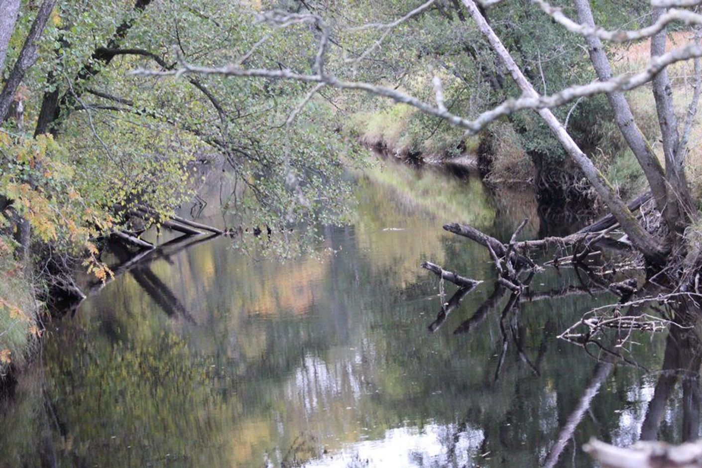 Storån