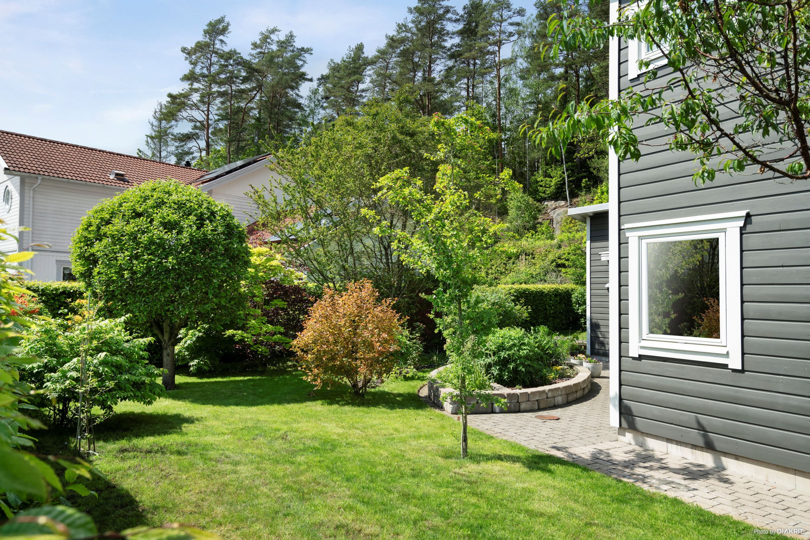 Välplanerad trädgård