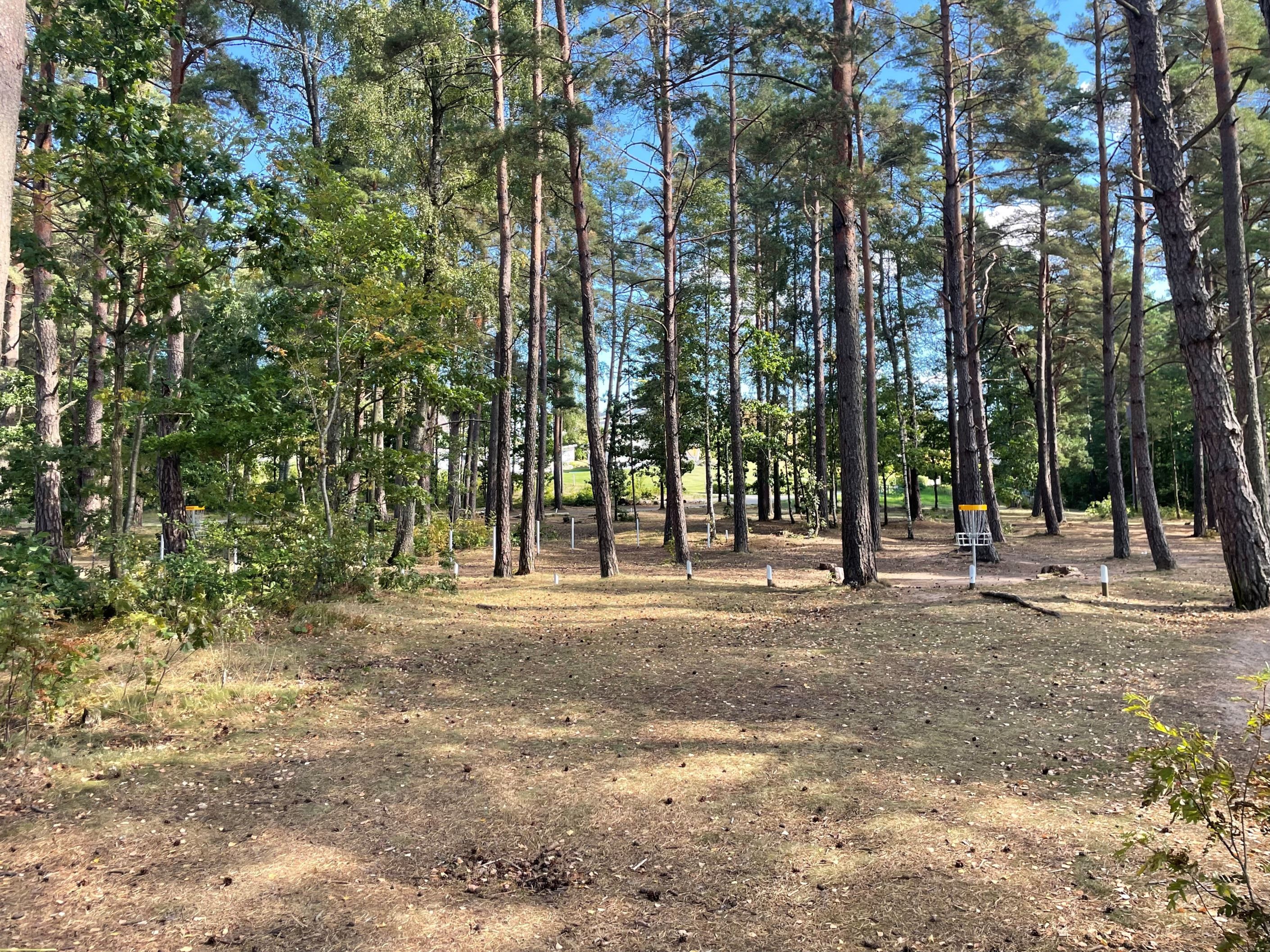 Frisbeegolf