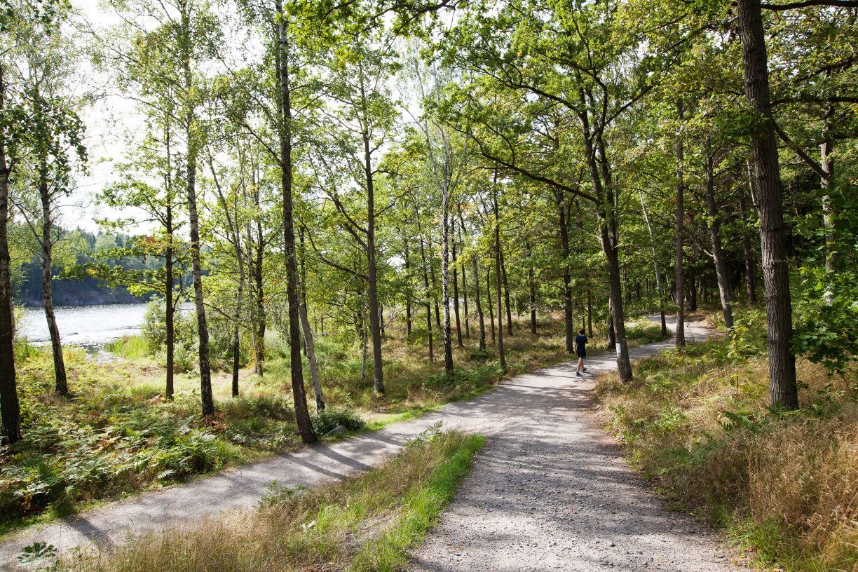 Långsjön