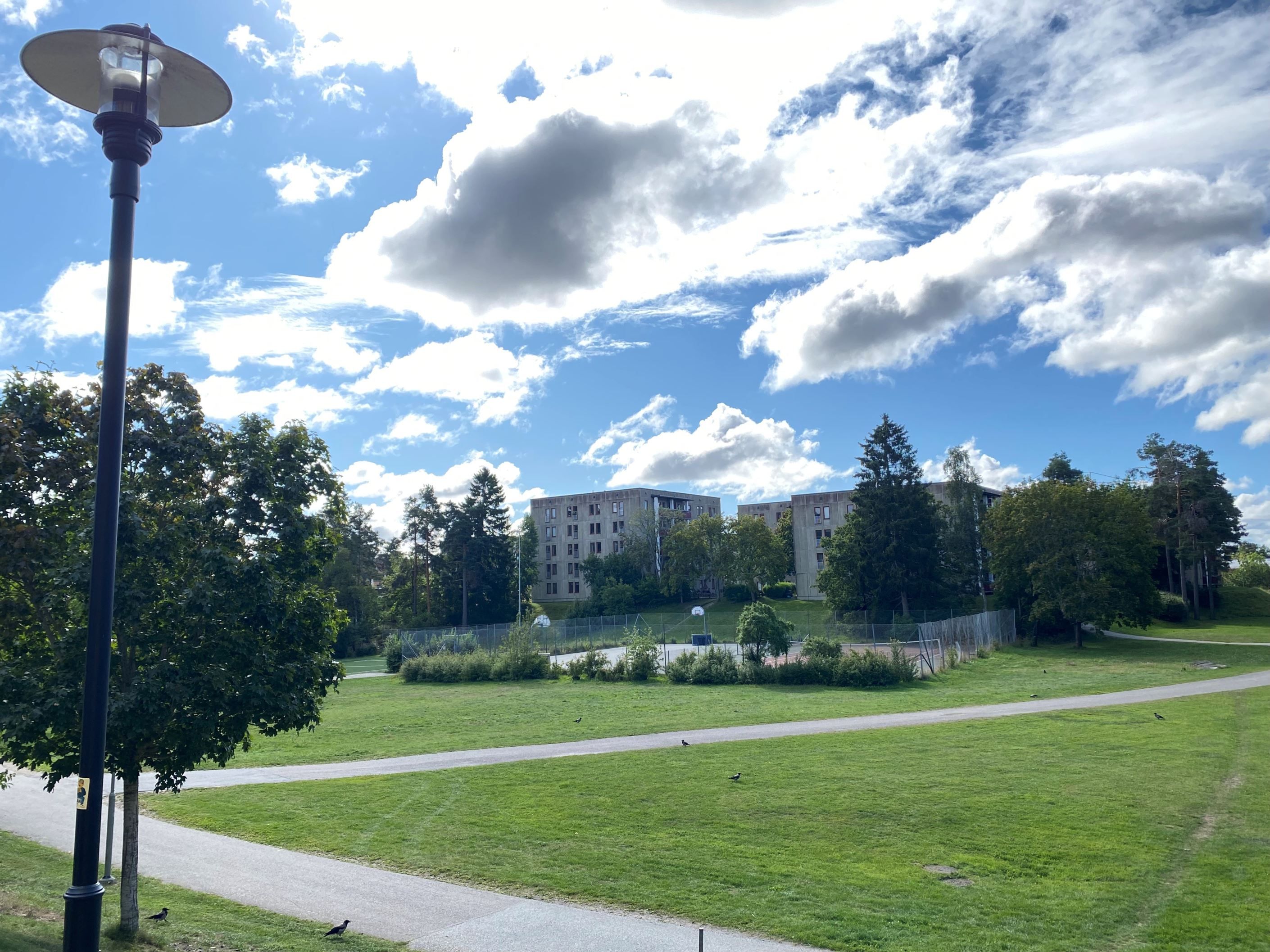 Utsikt från föreningens område ut över parken