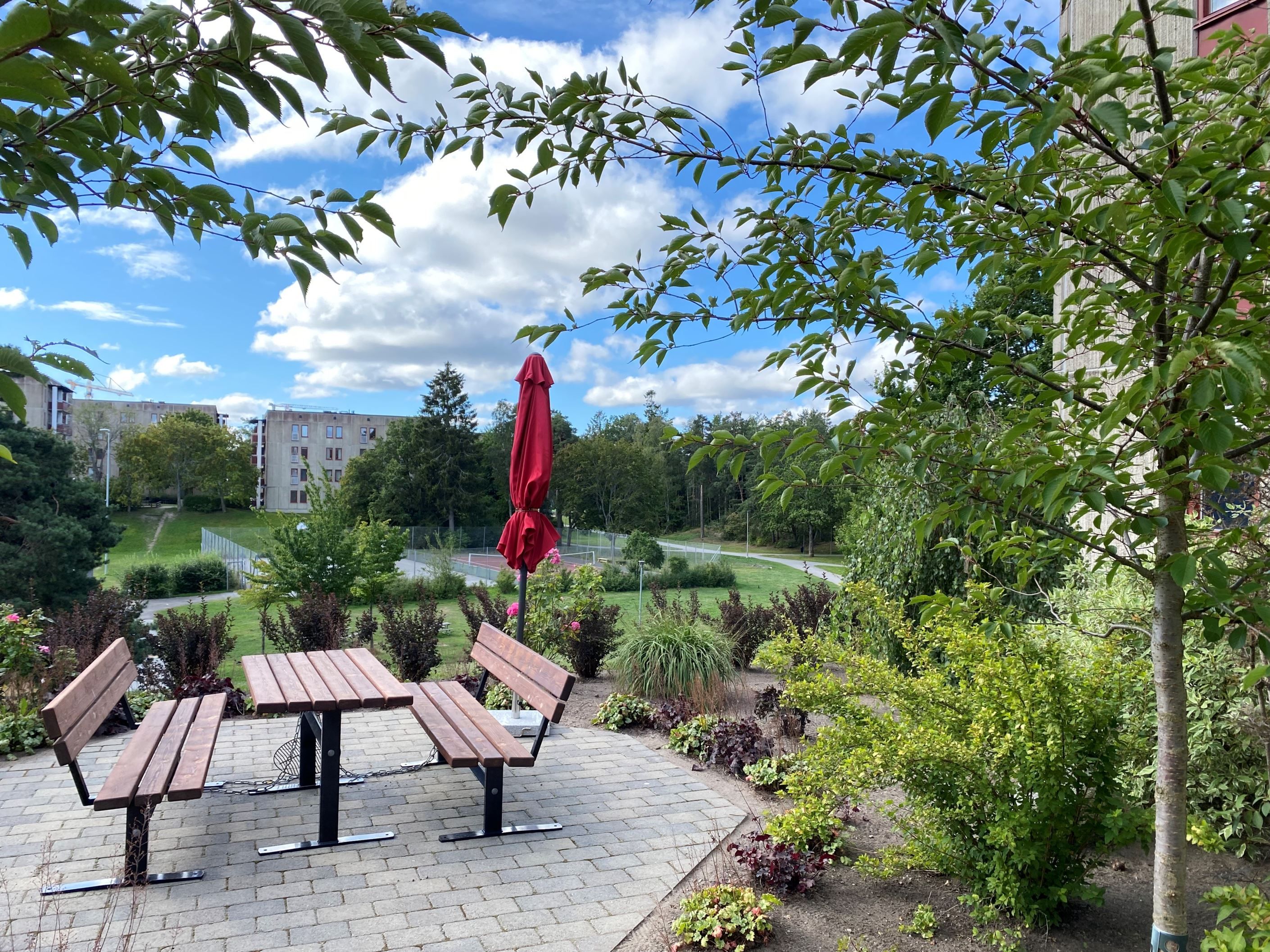 Föreningens uteplats med utsikt över parken
