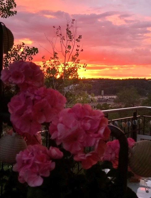 Säljarens bild med blommor och solnedgång!