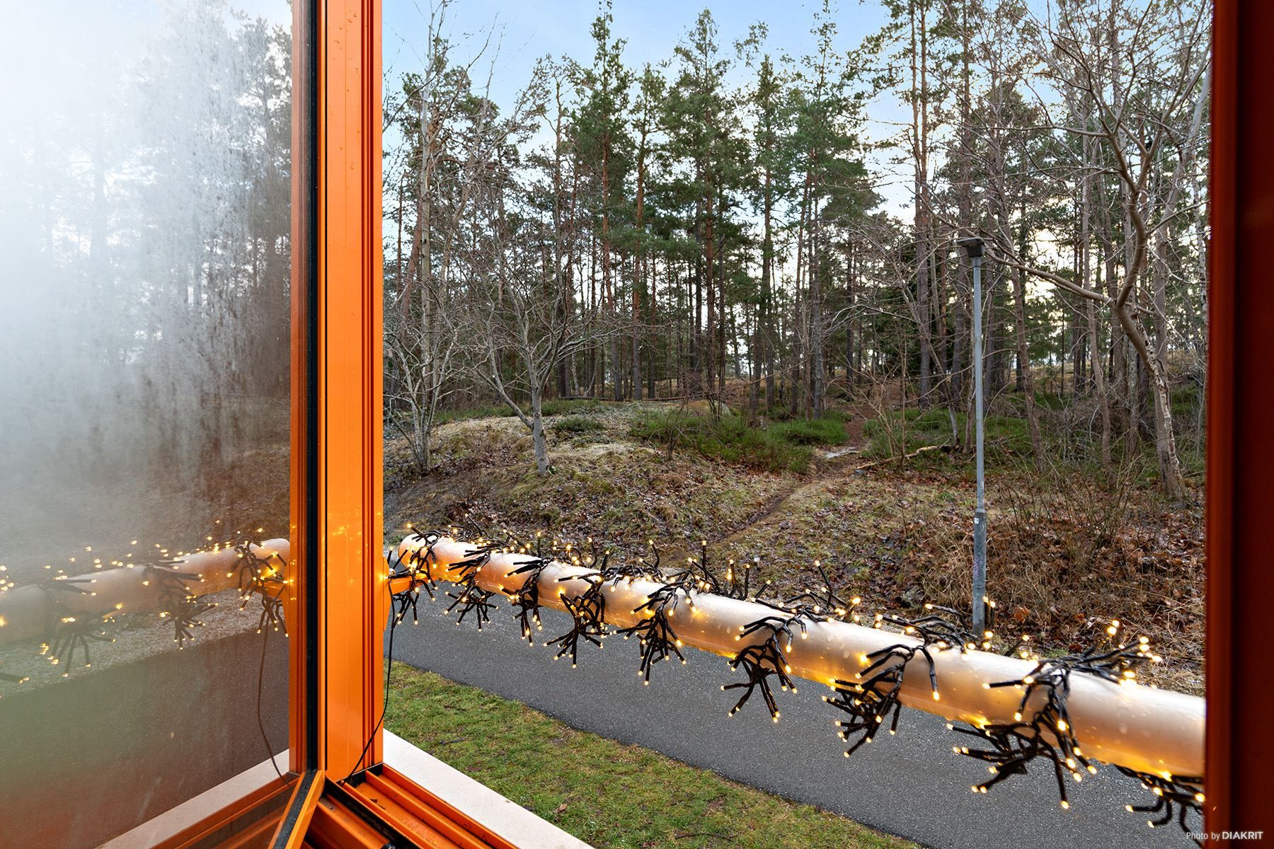 Grönskande park utanför balkongen