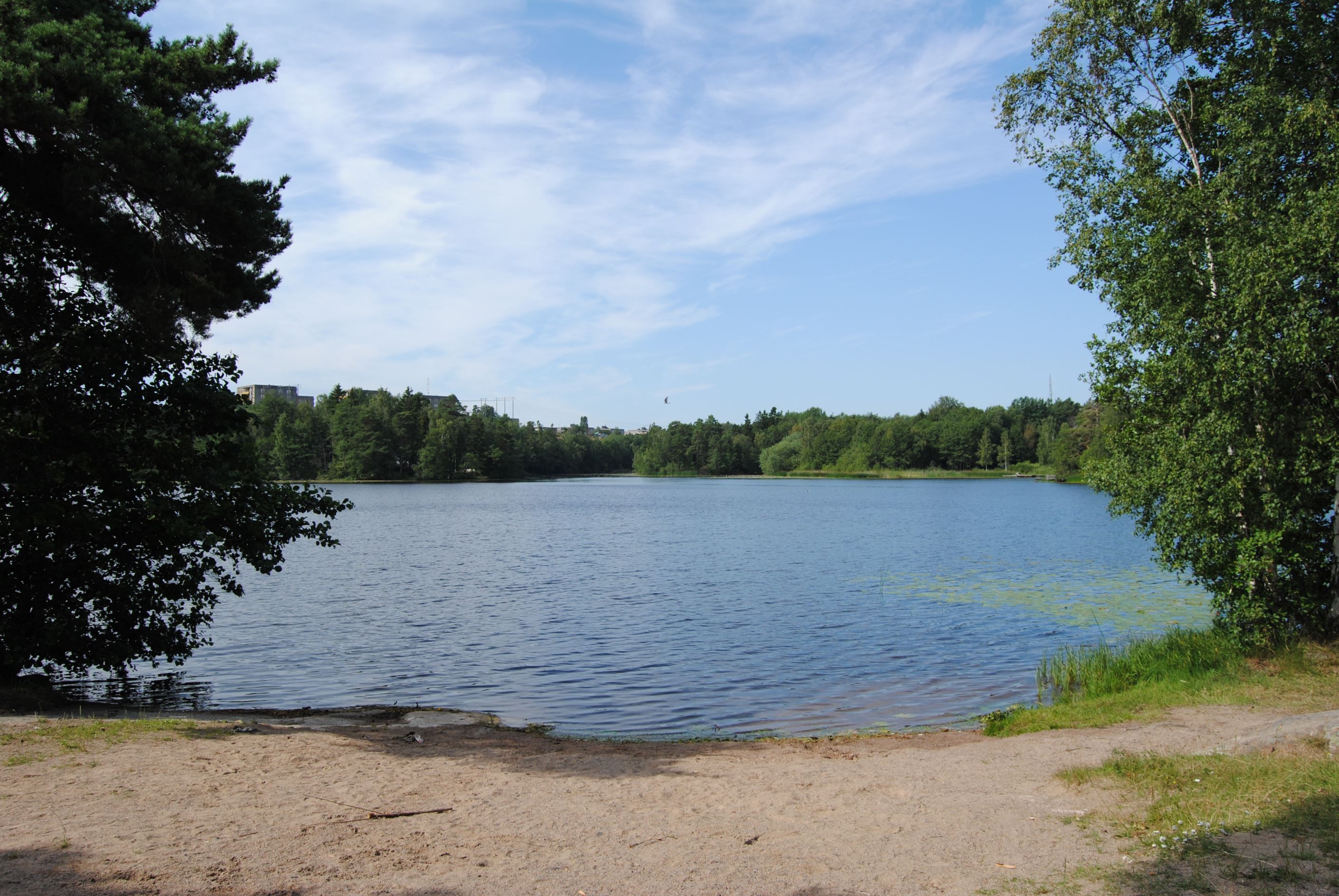 Liten strand vid Myrsjön
