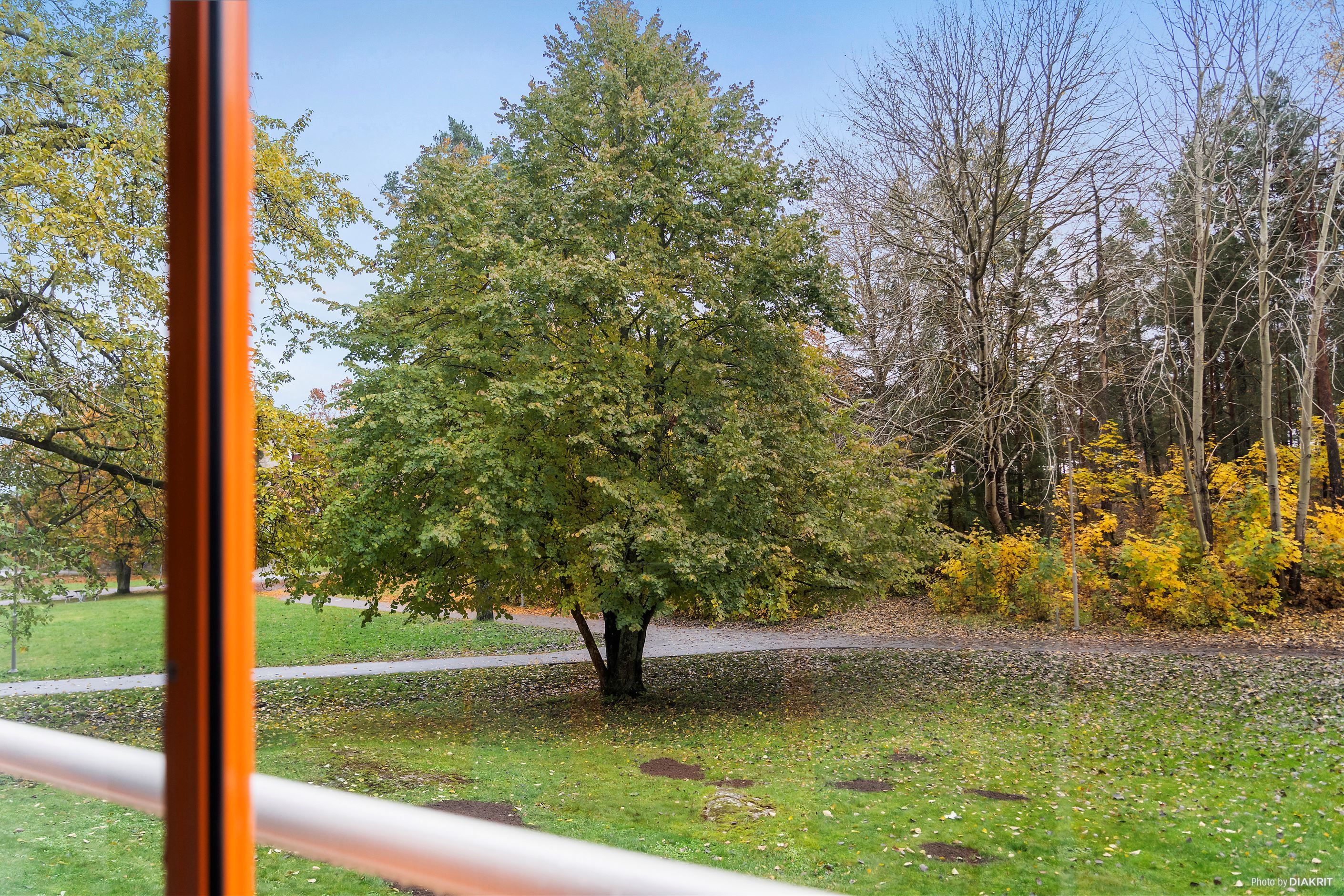 Vacker grönska utanför balkongen