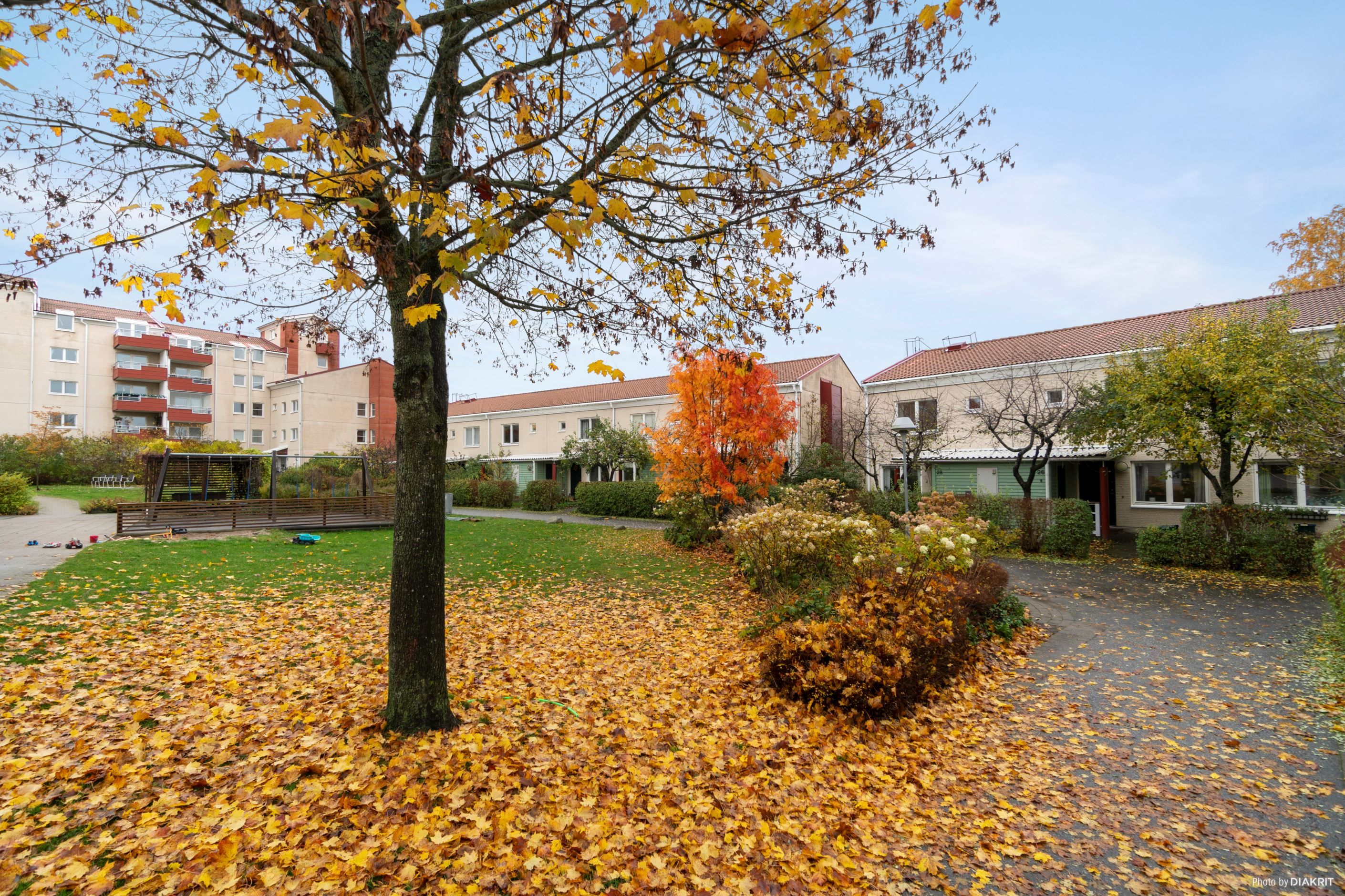 Vacker grönska utanför huset