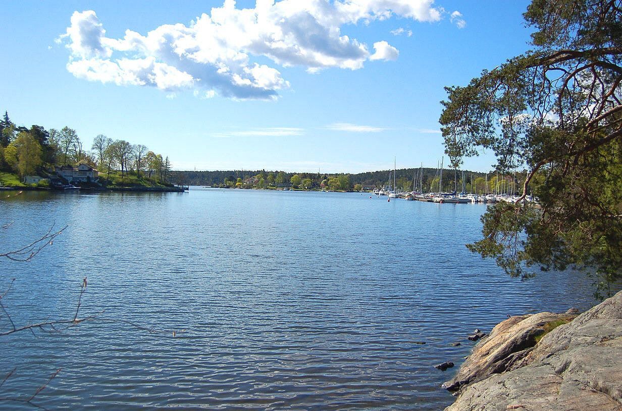 Vy över vattnet från Skuruparken